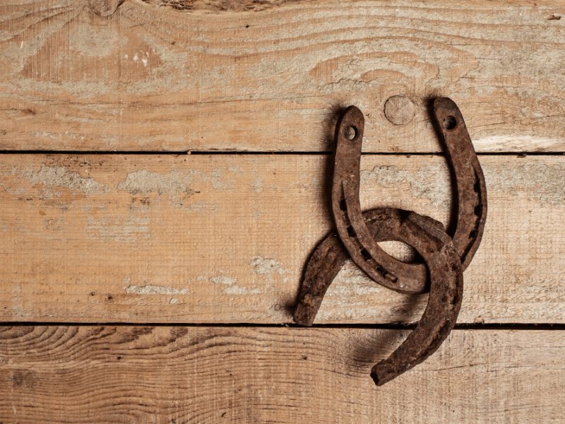 dos herraduras entrelazadas